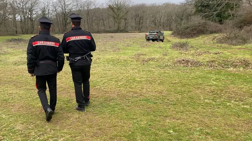 muore-sbranato-da-rotweiler-mentre-fa-jogging-vicino-roma